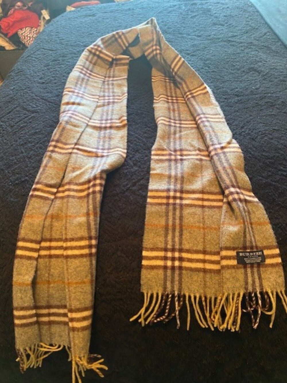 Burberry Scarf